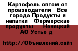 Картофель оптом от производителя - Все города Продукты и напитки » Фермерские продукты   . Ненецкий АО,Устье д.